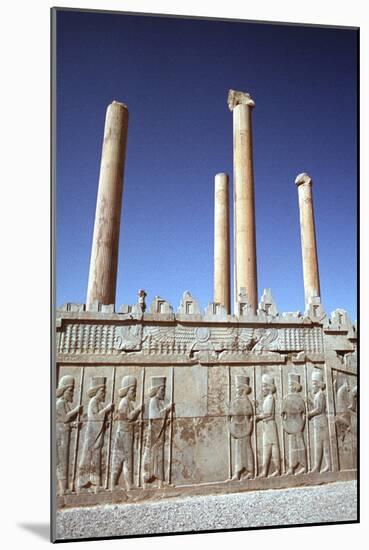 Relief of Medes and Persians, the Apadana, Persepolis, Iran-Vivienne Sharp-Mounted Photographic Print