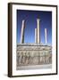 Relief of Medes and Persians, the Apadana, Persepolis, Iran-Vivienne Sharp-Framed Photographic Print