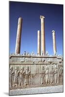 Relief of Medes and Persians, the Apadana, Persepolis, Iran-Vivienne Sharp-Mounted Photographic Print