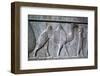 Relief of Parthians, the Apadana, Persepolis, Iran-Vivienne Sharp-Framed Photographic Print