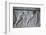 Relief of Parthians, the Apadana, Persepolis, Iran-Vivienne Sharp-Framed Photographic Print