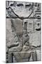 Relief of Pharaoh, Chapels of Divine Adoratrices, Temple of Ramesses Iii, Medinet Habu, Thebes-null-Mounted Photographic Print