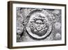 Relief of Sarcophagus in Acropolis of Termessus, Turkey, Detail-null-Framed Giclee Print