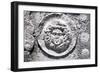 Relief of Sarcophagus in Acropolis of Termessus, Turkey, Detail-null-Framed Giclee Print