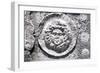 Relief of Sarcophagus in Acropolis of Termessus, Turkey, Detail-null-Framed Giclee Print