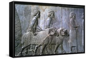 Relief of Sogdians, the Apadana, Persepolis, Iran-Vivienne Sharp-Framed Stretched Canvas