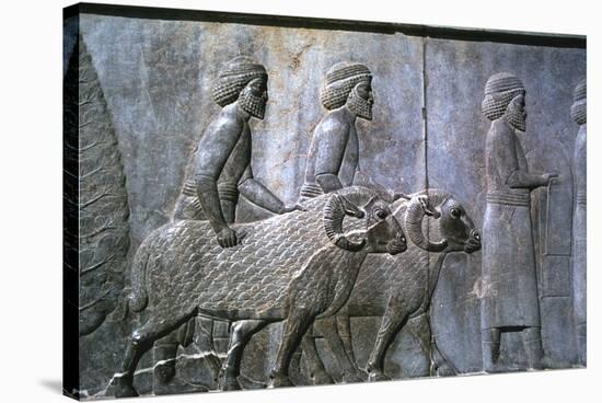 Relief of Sogdians, the Apadana, Persepolis, Iran-Vivienne Sharp-Stretched Canvas