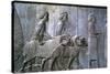 Relief of Sogdians, the Apadana, Persepolis, Iran-Vivienne Sharp-Stretched Canvas