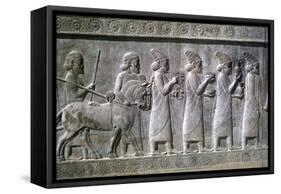 Relief of Syrians or Lydians, the Apadana, Persepolis, Iran-Vivienne Sharp-Framed Stretched Canvas