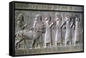 Relief of Syrians or Lydians, the Apadana, Persepolis, Iran-Vivienne Sharp-Framed Stretched Canvas