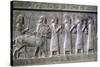 Relief of Syrians or Lydians, the Apadana, Persepolis, Iran-Vivienne Sharp-Stretched Canvas