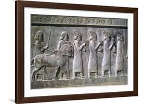 Relief of Syrians or Lydians, the Apadana, Persepolis, Iran-Vivienne Sharp-Framed Photographic Print