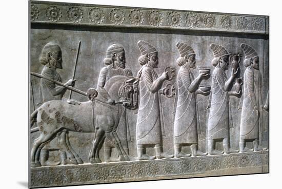 Relief of Syrians or Lydians, the Apadana, Persepolis, Iran-Vivienne Sharp-Mounted Photographic Print