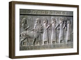 Relief of Syrians or Lydians, the Apadana, Persepolis, Iran-Vivienne Sharp-Framed Photographic Print