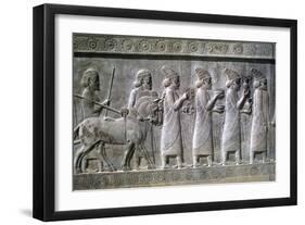 Relief of Syrians or Lydians, the Apadana, Persepolis, Iran-Vivienne Sharp-Framed Photographic Print