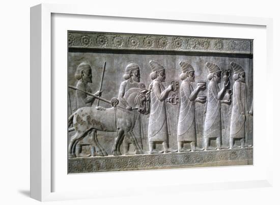 Relief of Syrians or Lydians, the Apadana, Persepolis, Iran-Vivienne Sharp-Framed Photographic Print