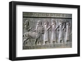 Relief of Syrians or Lydians, the Apadana, Persepolis, Iran-Vivienne Sharp-Framed Photographic Print