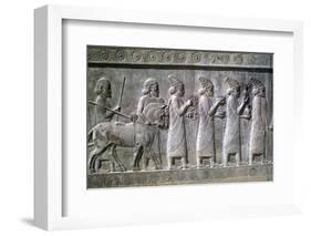 Relief of Syrians or Lydians, the Apadana, Persepolis, Iran-Vivienne Sharp-Framed Photographic Print