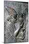 Relief of Syrians or Lydians, the Apadana, Persepolis, Iran-Vivienne Sharp-Mounted Photographic Print