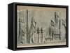 Relief of the Enthronement of Darius, Persepolis, Unesco World Heritage Site, Iran, Middle East-Desmond Harney-Framed Stretched Canvas