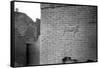 Relief on the Ishtar Gate, Babylon, 1917-1919-null-Framed Stretched Canvas