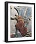Relief Portraying Pharaoh Thutmose III-null-Framed Giclee Print