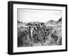 Relief Soldiers in a Trench in Champagne, 1915-16-Jacques Moreau-Framed Photographic Print