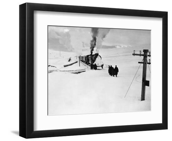 Premium Photographic Print, , large