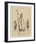 Religious Costumes in the Medieval Period-Raphael Jacquemin-Framed Giclee Print