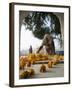 Religious Flower Offerings, at Golden Temple in Amritsar, Punjab, India-David H. Wells-Framed Photographic Print