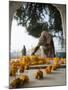 Religious Flower Offerings, at Golden Temple in Amritsar, Punjab, India-David H. Wells-Mounted Photographic Print