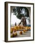 Religious Flower Offerings, at Golden Temple in Amritsar, Punjab, India-David H. Wells-Framed Photographic Print