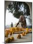 Religious Flower Offerings, at Golden Temple in Amritsar, Punjab, India-David H. Wells-Mounted Photographic Print