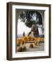 Religious Flower Offerings, at Golden Temple in Amritsar, Punjab, India-David H. Wells-Framed Photographic Print