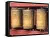 Religious Prayer Wheels, Ulaan Baatar, Mongolia-Bill Bachmann-Framed Stretched Canvas