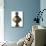 Reliquary Bust of Saint Thomas Aquinas (1225-1274)-null-Mounted Photo displayed on a wall