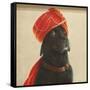 Reluctant Maharaja, 2010-Lincoln Seligman-Framed Stretched Canvas