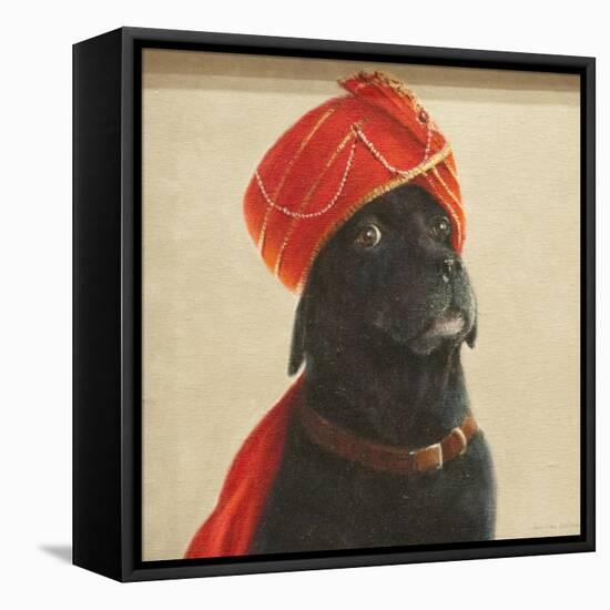 Reluctant Maharaja, 2010-Lincoln Seligman-Framed Stretched Canvas
