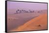 Remah Desert, Al Ain, Abu Dhabi, United Arab Emirates, Middle East-Jane Sweeney-Framed Stretched Canvas