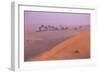 Remah Desert, Al Ain, Abu Dhabi, United Arab Emirates, Middle East-Jane Sweeney-Framed Photographic Print