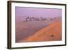 Remah Desert, Al Ain, Abu Dhabi, United Arab Emirates, Middle East-Jane Sweeney-Framed Photographic Print