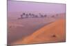 Remah Desert, Al Ain, Abu Dhabi, United Arab Emirates, Middle East-Jane Sweeney-Mounted Photographic Print