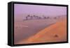 Remah Desert, Al Ain, Abu Dhabi, United Arab Emirates, Middle East-Jane Sweeney-Framed Stretched Canvas