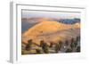 Remah Desert, Al Ain, Abu Dhabi, United Arab Emirates, Middle East-Jane Sweeney-Framed Photographic Print