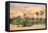 Remah Desert, Al Ain, Abu Dhabi, United Arab Emirates, Middle East-Jane Sweeney-Framed Stretched Canvas