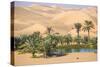 Remah Desert, Al Ain, Abu Dhabi, United Arab Emirates, Middle East-Jane Sweeney-Stretched Canvas