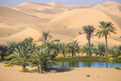 Remah Desert Al Ain Abu Dhabi United Arab Emirates Middle East Photographic Print Jane Sweeney Allposters Com