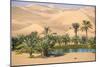 Remah Desert, Al Ain, Abu Dhabi, United Arab Emirates, Middle East-Jane Sweeney-Mounted Photographic Print