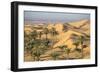 Remah Desert, Al Ain, Abu Dhabi, United Arab Emirates, Middle East-Jane Sweeney-Framed Photographic Print