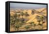 Remah Desert, Al Ain, Abu Dhabi, United Arab Emirates, Middle East-Jane Sweeney-Framed Stretched Canvas